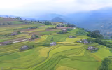 Mùa vàng Hoàng Su Phì qua ống kính flycam